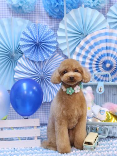 20231103ララちゃん